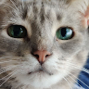 Meet your Posher, Genavieve